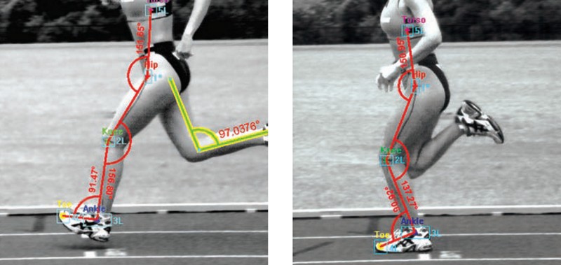 Xcitex ProAnalyst - sportsman motion analysis