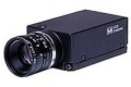 Kamera przemysłowa matrycowa Teli CS3950D Mono Analogowa