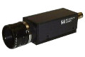 Kamera przemysłowa matrycowa Teli CS5260BDP Kolor PAL Analogowa
