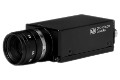 Kamera przemysowa matrycowa Teli CS5270BP Kolor PAL Analogowa